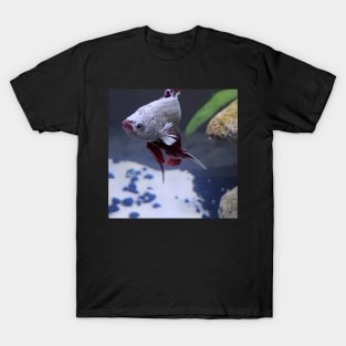 Resting Fish Face T-Shirt